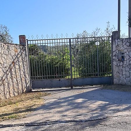 Villa Oleandro Ciccino Vieste Bagian luar foto